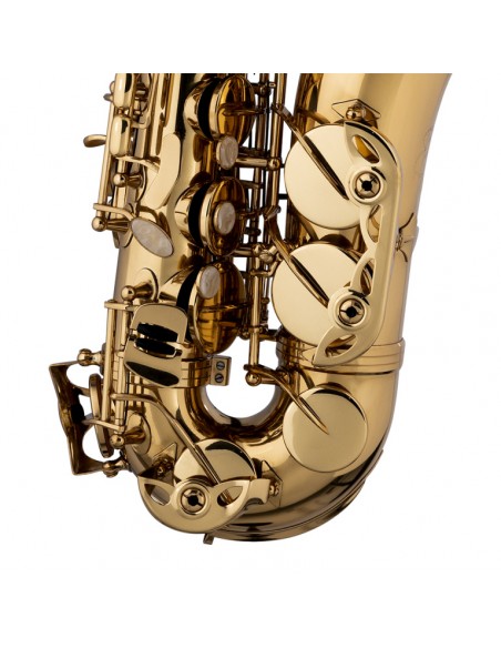Eb alto saxophone, hand-engraved bell, with soft case