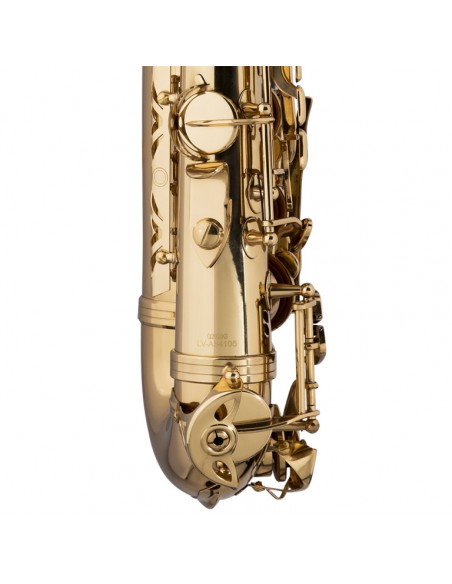 Eb alto saxophone, hand-engraved bell, with soft case