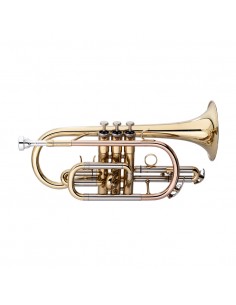 Bb Cornet, Monel, Brass... 2