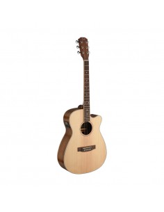 Asyla series 4/4 cutaway... 2