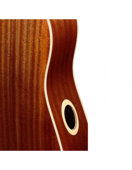 Scotia series dreadnought acoustic guitar with solid spruce top