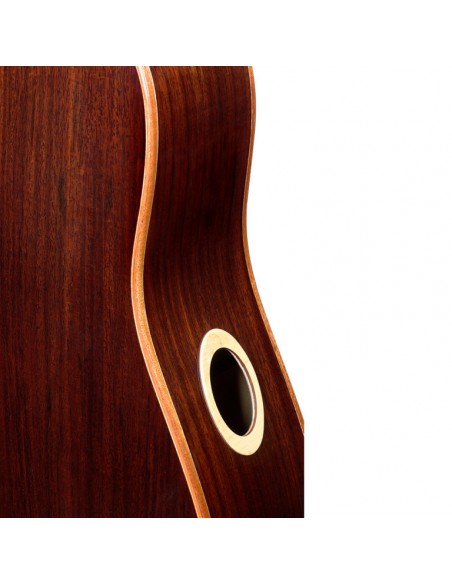 Elijah series auditorium acoustic guitar with solid spruce top