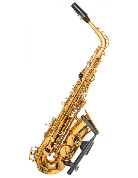 Wall-mounted alto saxophone holder