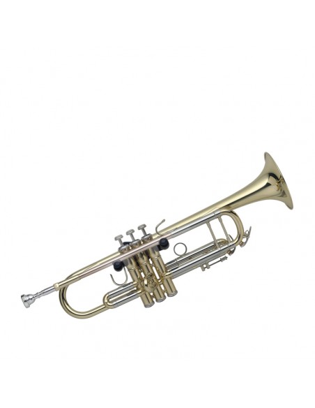Wall-mounted trumpet holder