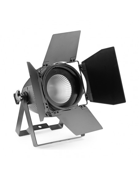 King PAR 60 with 1 x 60-watt RGB COB LED