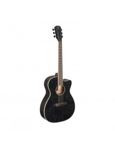 Cutaway acoustic-electric... 2