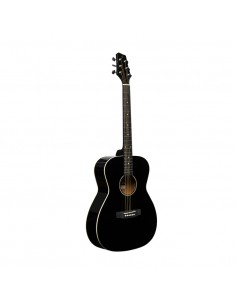 Auditorium guitar with... 2