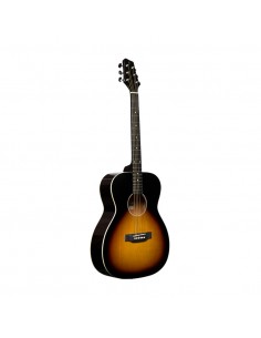 Auditorium guitar with... 2
