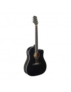 Cutaway acoustic-electric... 2
