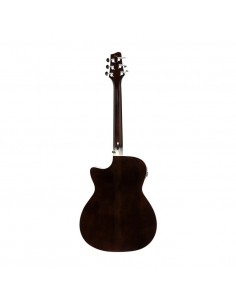 Cutaway acoustic-electric... 2