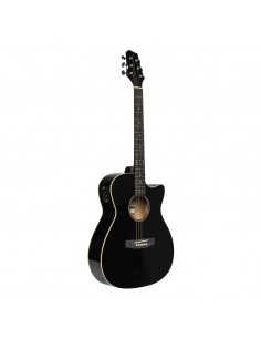 Cutaway acoustic-electric... 2