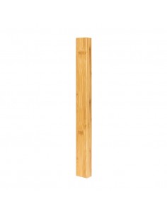 Box for conductor's baton 2