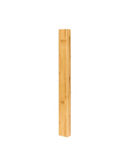 Box for conductor's baton