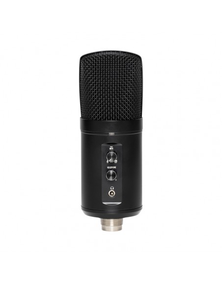 Double condenser USB microphone, metal finish