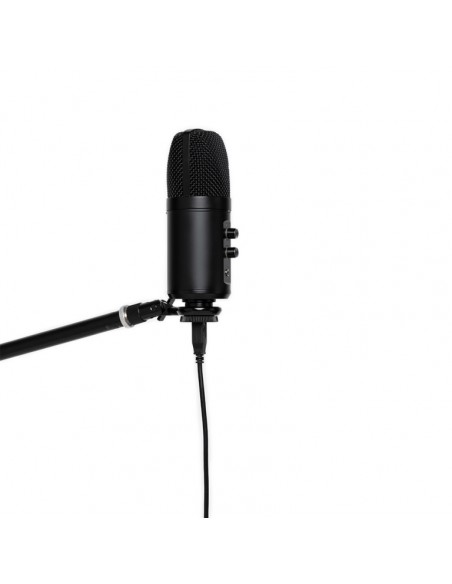 Double condenser USB microphone, metal finish